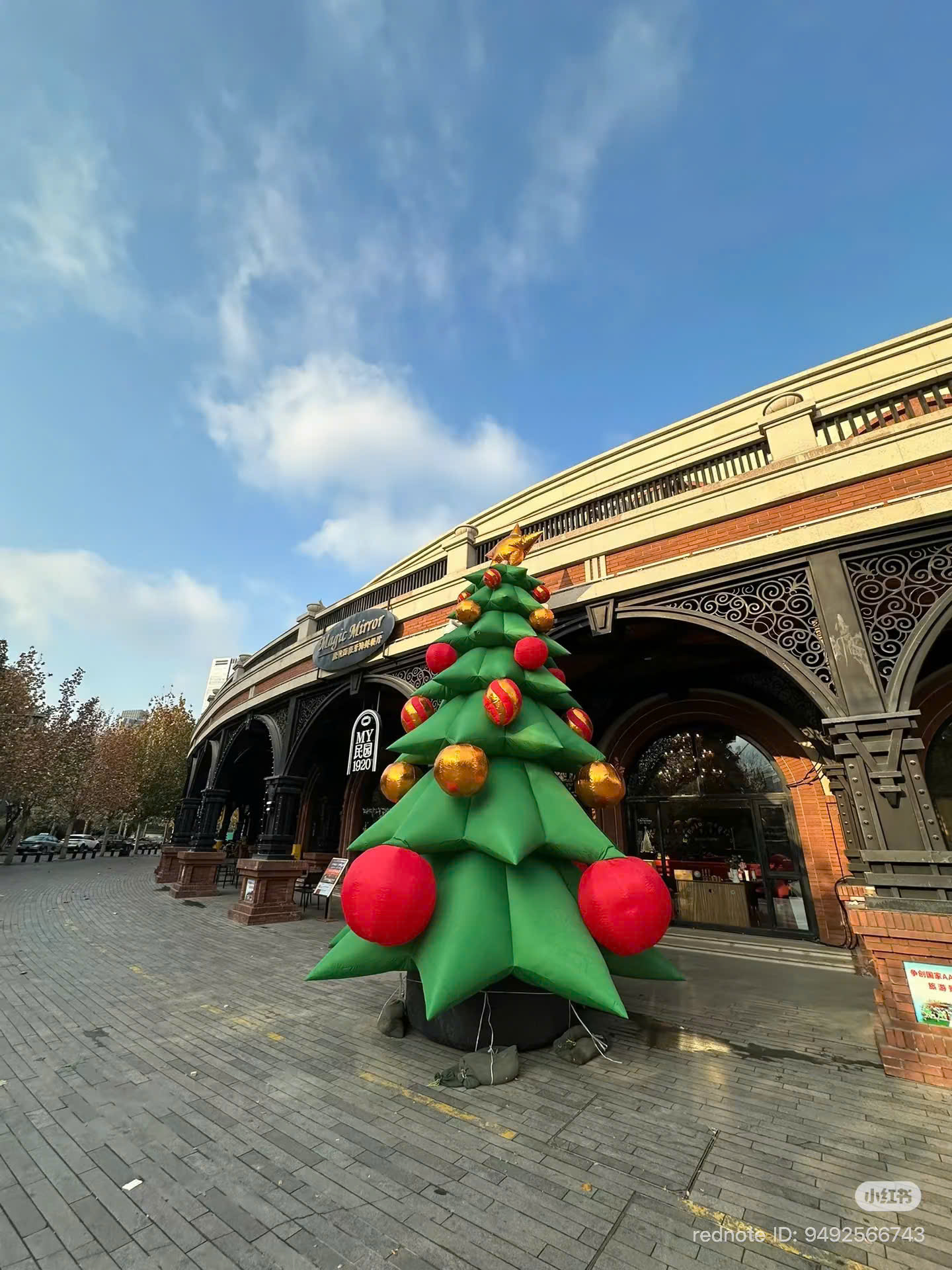 Cây thông noel khổng lồ