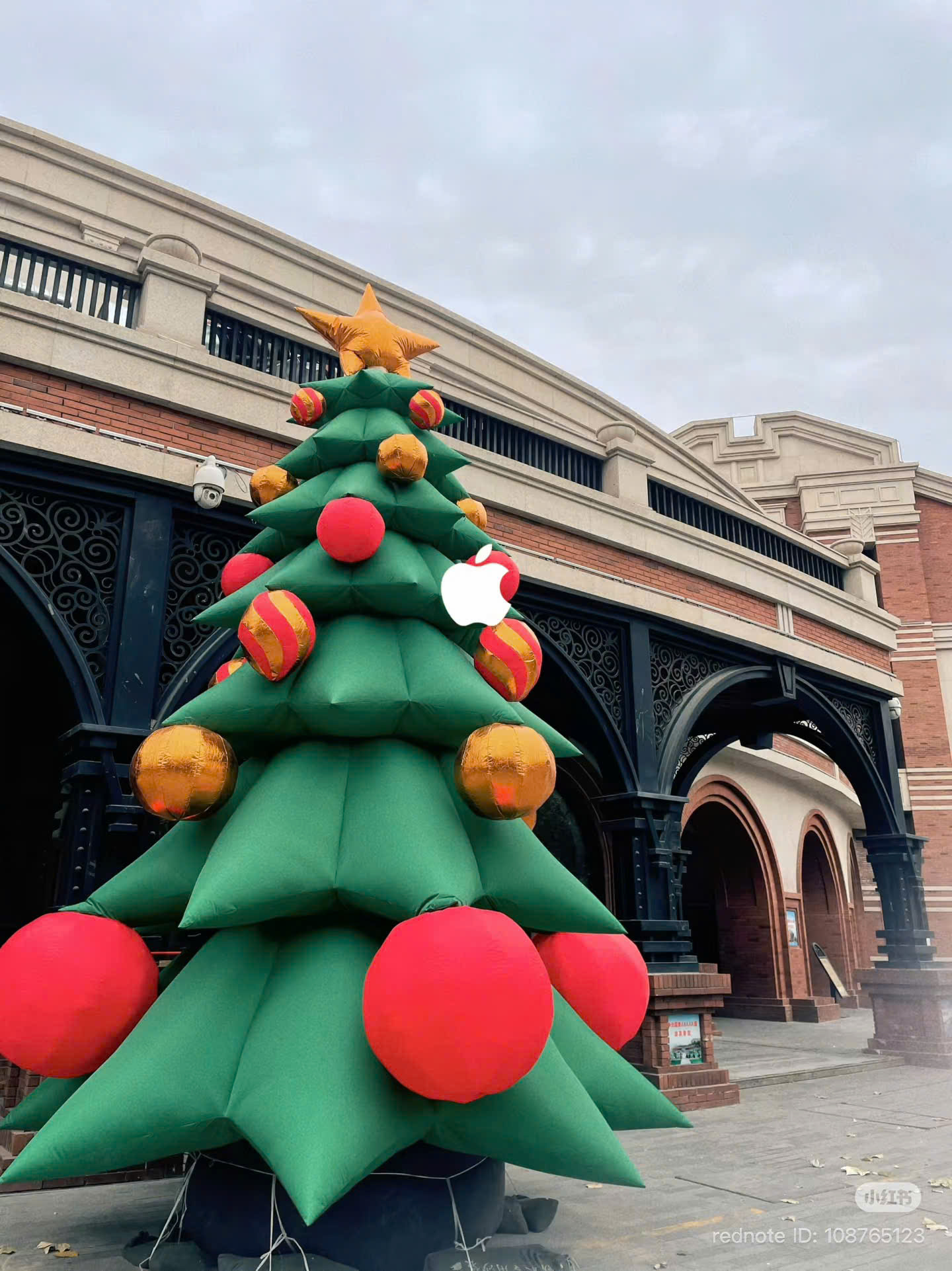 Cây thông noel khổng lồ