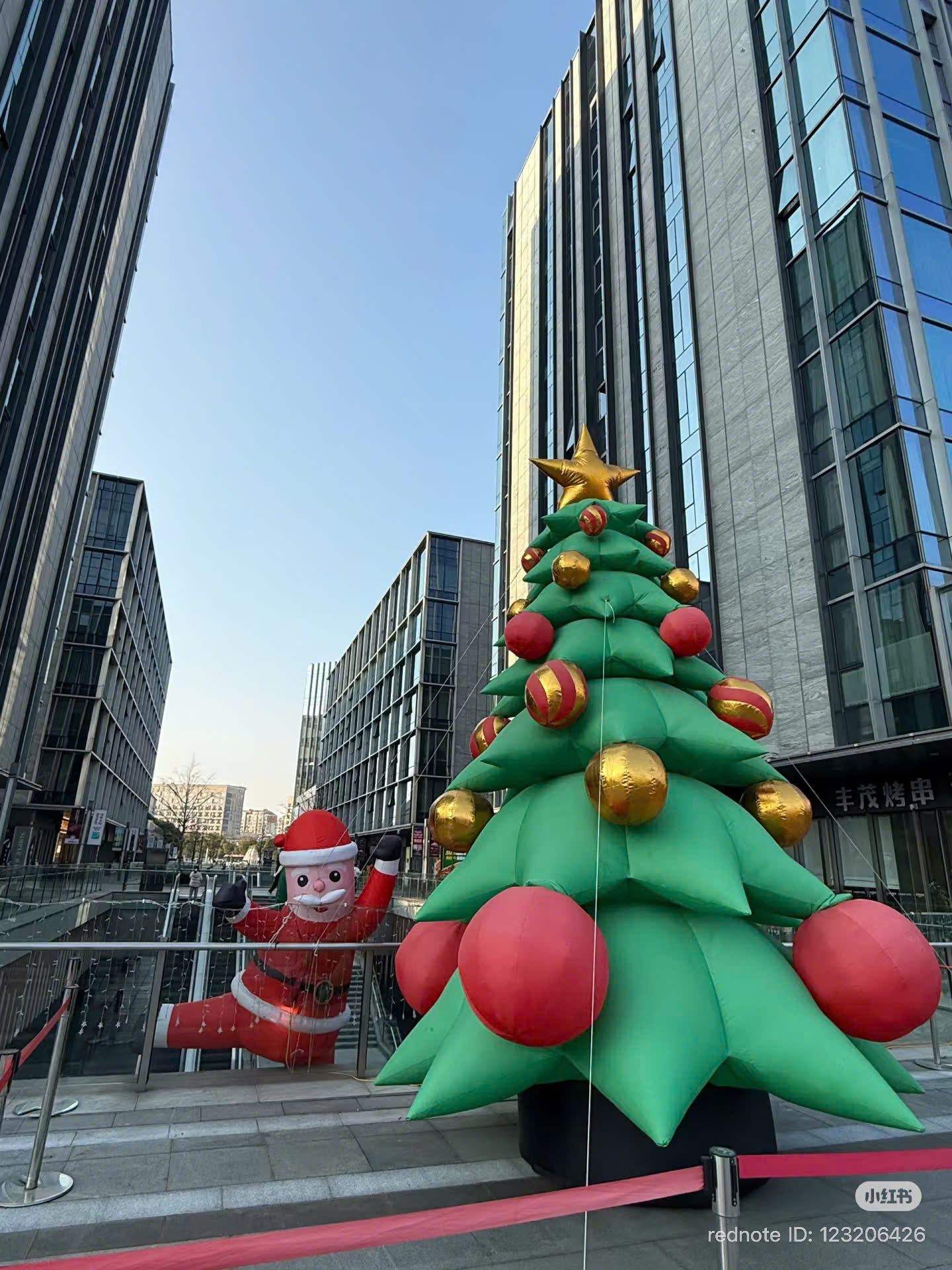 Cây thông noel khổng lồ