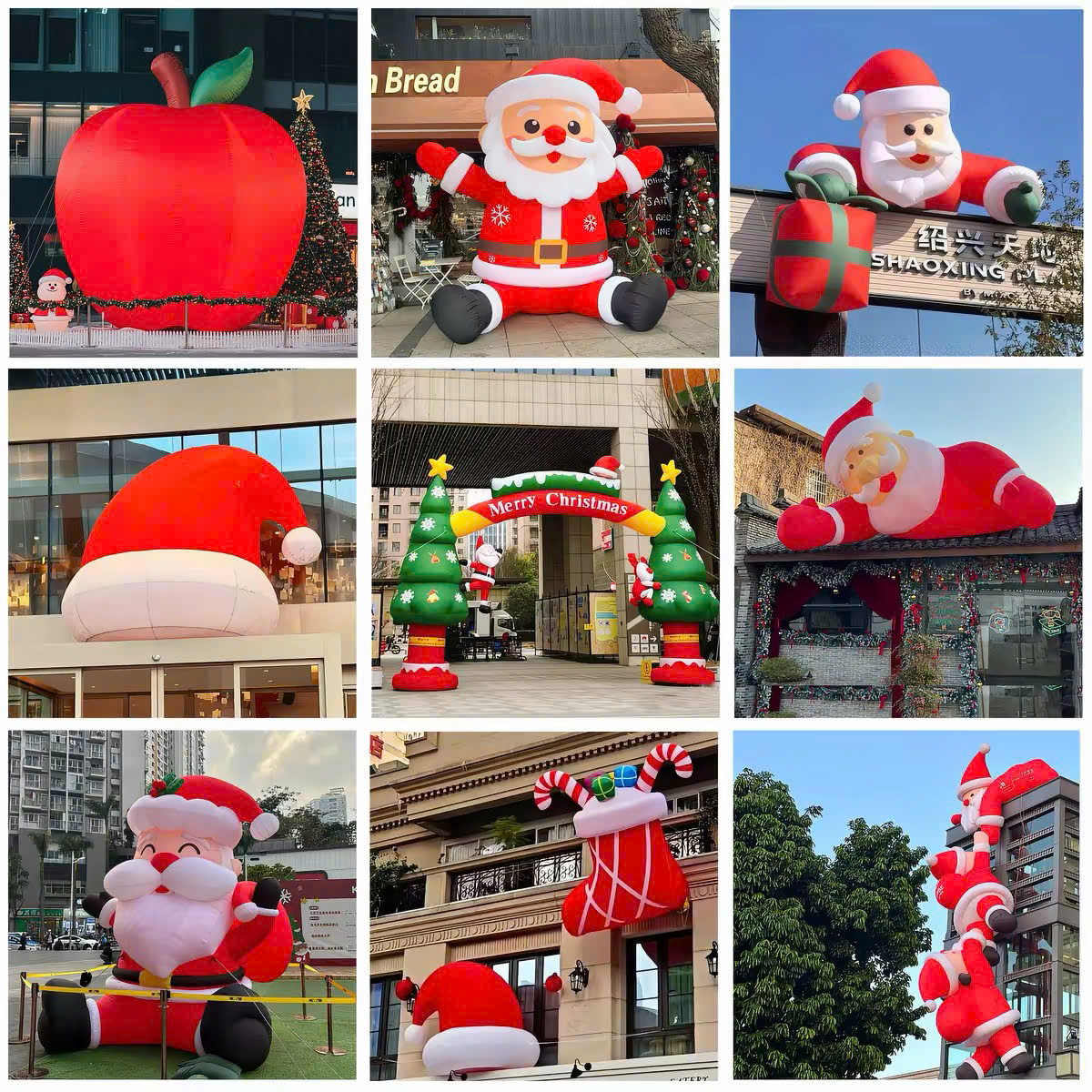 Cây thông noel khổng lồ