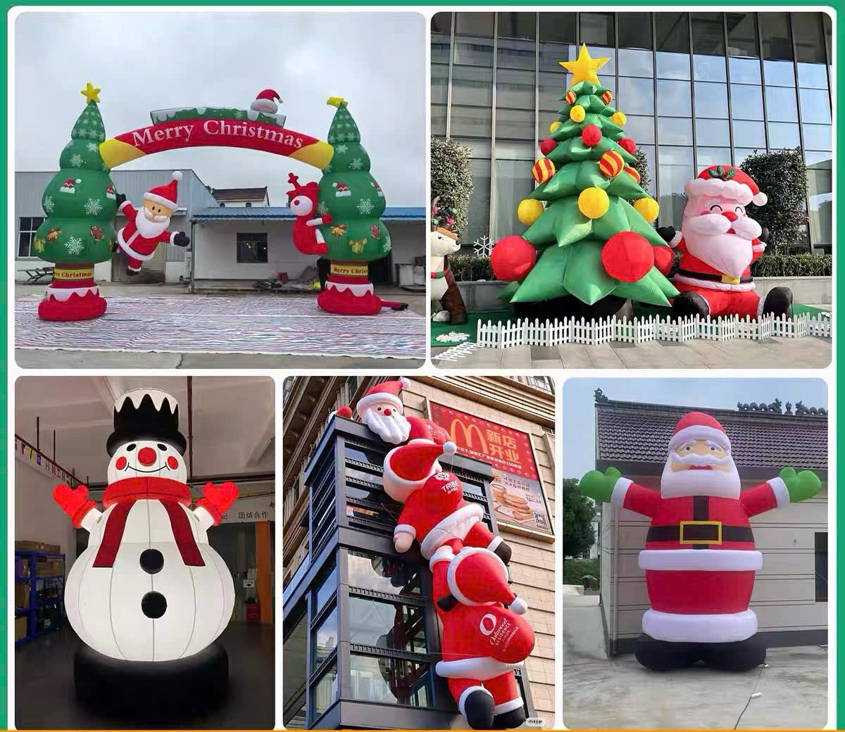 Cây thông noel khổng lồ