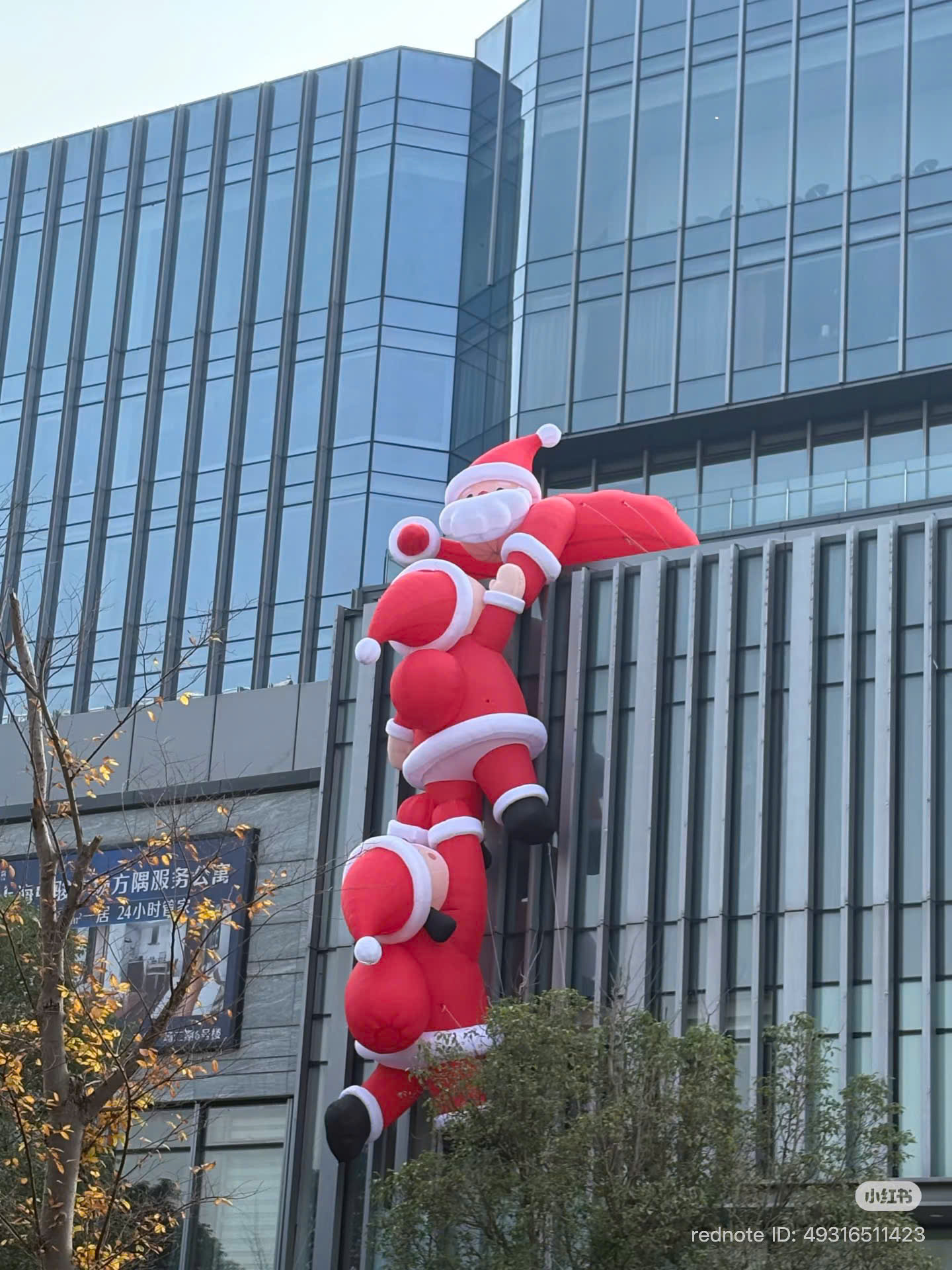 3 ông noel cầm tay nhau